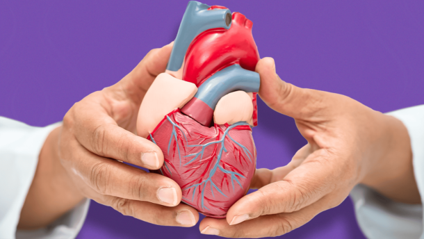 manos de doctor sosteniendo corazón